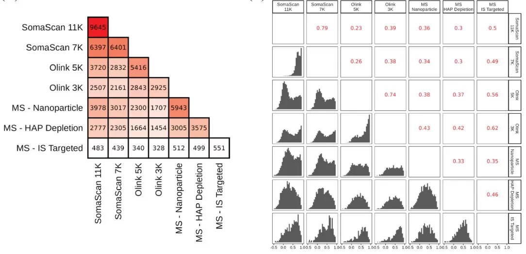 Intersection sizes of detected proteins between each pair of platforms and the distribution of Spearman Rho correlation coefficient